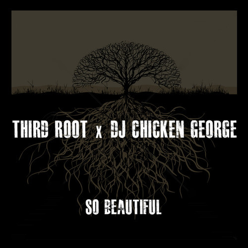 Third Root x DJ Chicken George “So Beautiful”